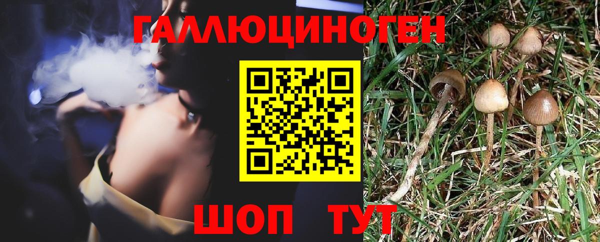 Галлюциногенные грибы GOLDEN TEACHER  Вход с VPN  Ирбит 
